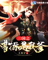 三国之曹操是我爹章节列表