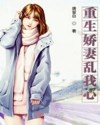 重生娇妻乱我心章节列表
