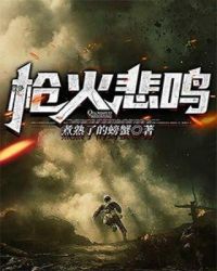 枪火悲鸣章节列表