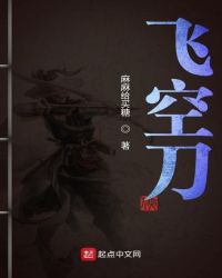 飞空刀章节列表