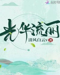 光华流丽章节列表