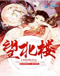 望北楼章节列表