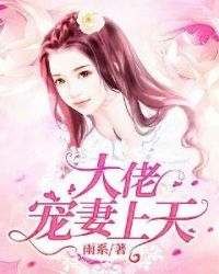 大佬宠妻上天章节列表
