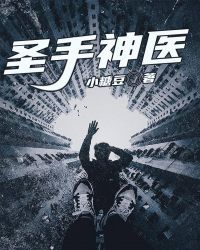 圣手神医章节列表