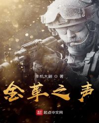 金革之声章节列表