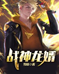 战神龙婿章节列表