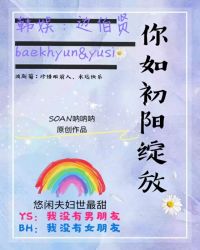 〖波斯菊《[边伯贤]你如初阳绽放》章节列表