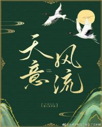 天意风流章节列表