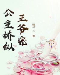 公主娇纵王爷宠章节列表