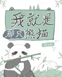 我就是那只熊猫章节列表