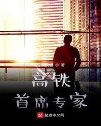 高铁首席专家章节列表