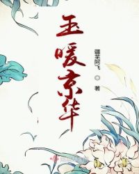 玉暖京华章节列表