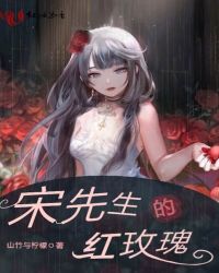 宋先生的红玫瑰章节列表