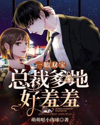 一胎双宝：总裁爹地好羞羞章节列表