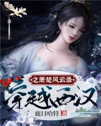 穿越西汉之萧楚风云录章节列表