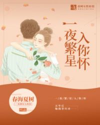 一夜繁星入你怀章节列表