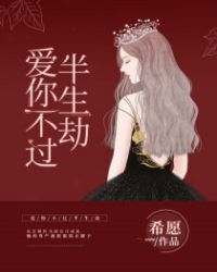 爱你不过半生劫章节列表