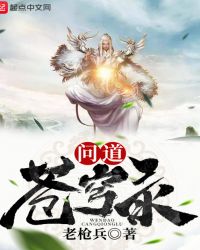 问道苍穹录章节列表