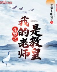 斗罗之我的老师是教皇章节列表