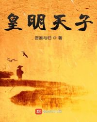 皇明天子章节列表