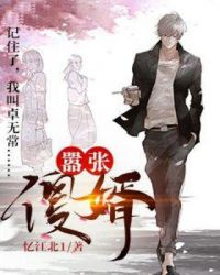 嚣张傻婿章节列表