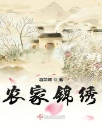 农家锦绣章节列表