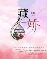 藏娇章节列表