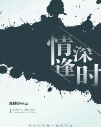 情深逢时章节列表