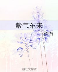 紫气东来章节列表