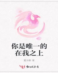 你是唯一的在我之上章节列表