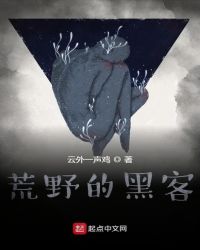 荒野的黑客章节列表