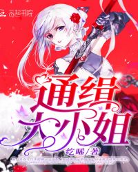 通缉大小姐章节列表