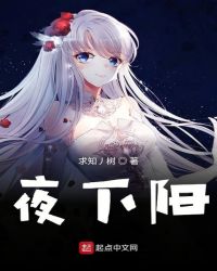 夜下阳章节列表