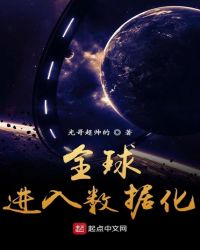全球进入数据化章节列表