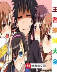 王者追美记章节列表