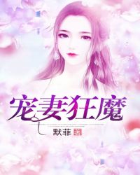 宠妻狂魔章节列表