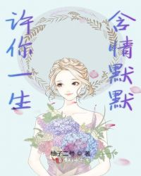 许你一生含情默默章节列表