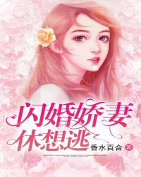 闪婚娇妻休想逃章节列表