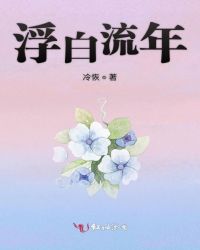 浮白流年章节列表