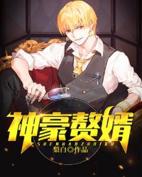 神豪赘婿章节列表