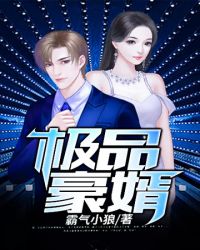 极品豪婿章节列表