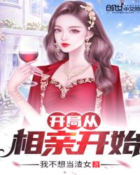开局从相亲开始章节列表