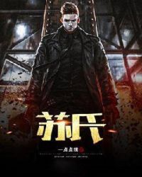 苏氏少帅章节列表