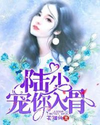 陆少，宠你入骨章节列表