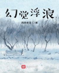 幻觉浮浪章节列表