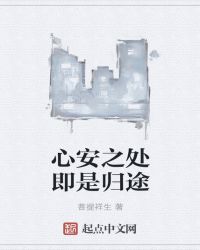 心安之处即是归途章节列表