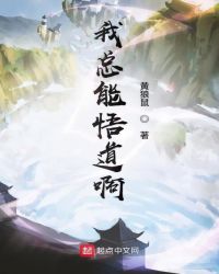 我总能悟道啊章节列表