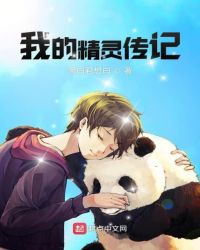 我的精灵传记章节列表
