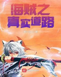 海贼之真实道路章节列表