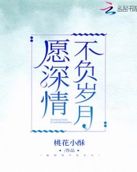 愿深情不负岁月章节列表